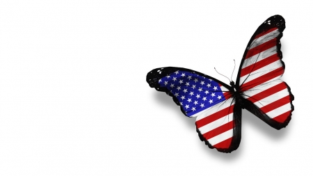 Independence - usa, nature, Independence day, butterflies, political, america