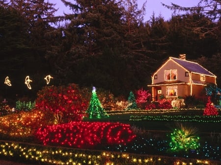 Christmas Cottage - christmas, tinsel, Christmas Cottage, holidays