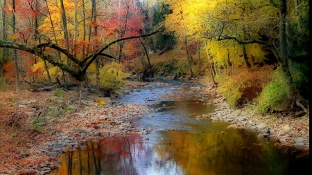 fall river - fall, river, hd, scenic