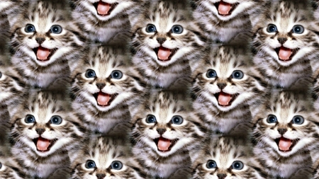 Kitten texture - animal, kitten, paper, texture, pink, tongue, cat