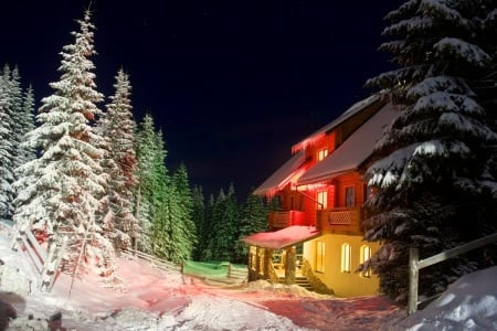 Winter chalet - winter, beautiful, evening, snow, night, rest, mountain, tree, christmas, holiday, lights, chalet