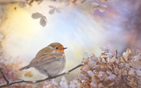 Little Bird - leaves, trees, macro, branch