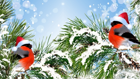 Christmas Finches - birds, winter, Santa hats, snow, fir, bullfinches, tree, holiday, Christmas