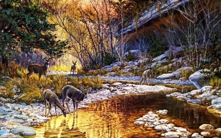 deers - deers, house, creek, tree, rocks