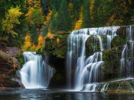 Lewis River Falls - forest, waterfall, trees, nature, autumn