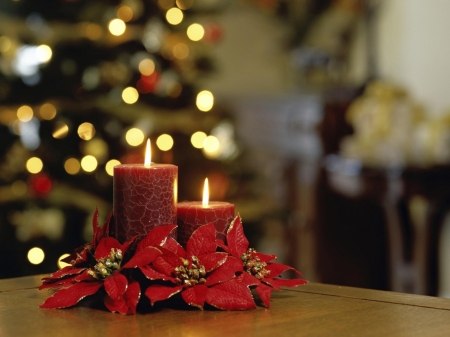 Merry Christmas! - christmas, craciun, lights, poinsettia, candle, flower