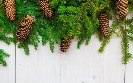 Happy Holidays! - new year, craciun, pine cone, christmas, wood, white, fir, card, green