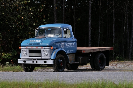 ford truck - truck, grass, ford, tree