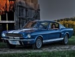 ford mustang shelby gt350