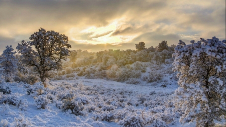 It Was Just Another Winters Day - christmas, snow, cold, winter