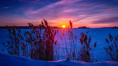 Winter sunset - amazing, sky, landscape, snow, beautiful, winter, sunset