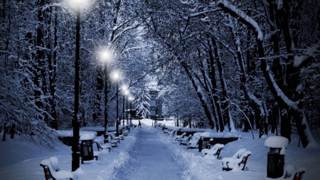 Take A Walk On The Cold Side - winter, cold, christmas, snow