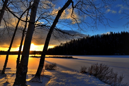 Winter Landscape - nature, landscape, mountain, forest, snow, lights