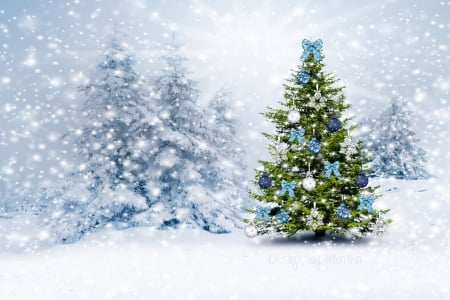 Christmas - winter, snow, christmas trees, holidays, xmas and new year, Christmas, love four seasons