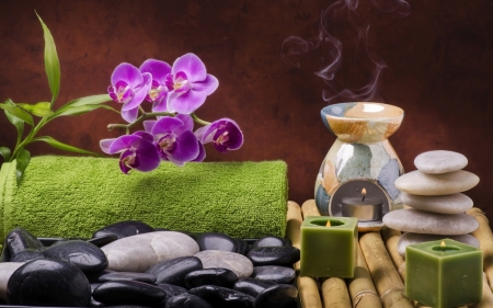 Still Life Spa - flowers, salt, bamboo, stones