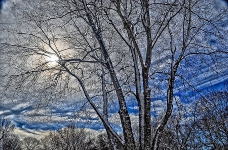 Winter Sunset - mountains, winter, trees, sunset, nature, snow