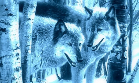 Winter Companions - love four seasons, wolves, animals, winter, holidays, snow