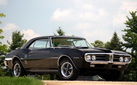 chevrolet pontiac firebird