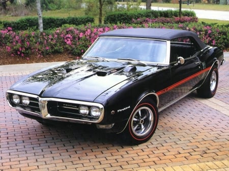 chevrolet pontiac firebird 400 ho convertible