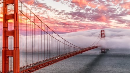 San Francisco - bridges, places, usa, san francisco