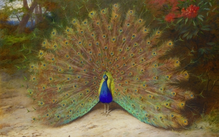 Peacock - bird, peacock, painting, pasari, art, yellow, paun, blue, pictura, green