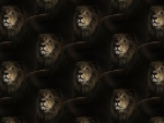 Lion texture