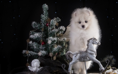 Christmas puppy - horse, animal, black, puppy, craciun, spitz, christmas, white, toy, tree, deco, dog