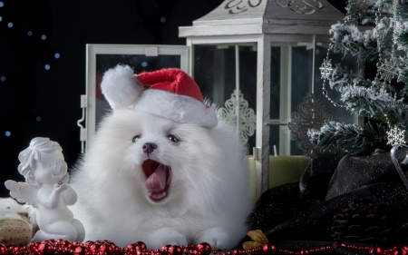 Christmas puppy - hat, dog, spitz, angel, christmas, black, santa, white, animal, craciun, red, figurine, cute, puppy