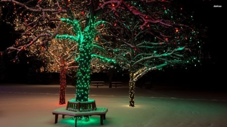 Christmas Lights In Snowy Park - park, snowy, christmas, in, lights