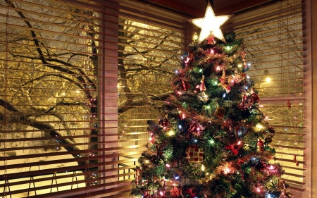 Christmas Tree - christmas, lights, fir, decorations, tree