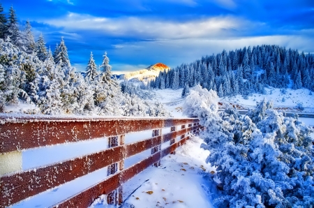 Winter landscape - forest, winter, fence, landscape, beautiful, tres, mountain, snow