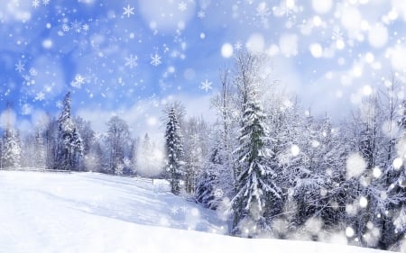 Snowfall - snowflakes, winter, landscape, fird, snow