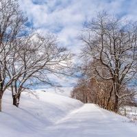 Great Smoky Mountains in Winter