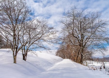 Great Smoky Mountains in Winter - clouds, trees, road, snow, sky