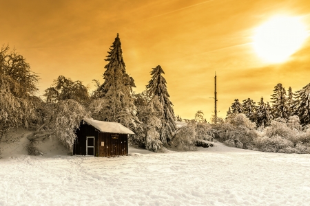 Winter - winter, trees, cabin, sunset