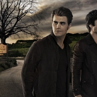 The Vampire Diaries (2009 - )