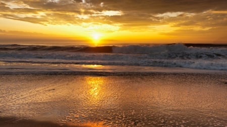 Sunset on the wavy ocean - beach, sand, wave, shore