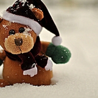 Christmas Teddy In Snow