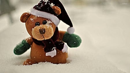 Christmas Teddy In Snow - in, snow, teddy, christmas