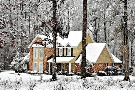 White winter - forest, winter, snowflakes, beautiful, frost, white, snowfall, house, trees, snow