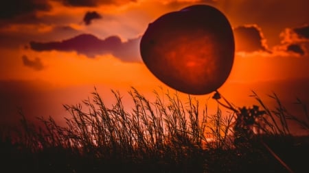 Sunset Heart - balloon, sunset, grass, heart