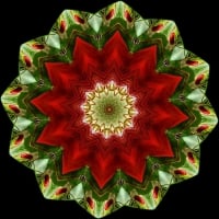 Christmas Mandala