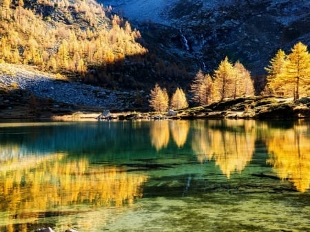 Lake Reflection - trees, nature, autumn, lake, reflection