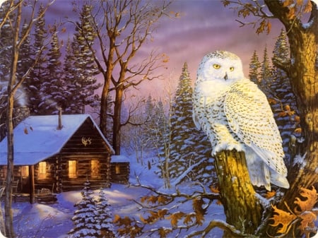 Nightwatch - winter, cottage, frost, owl, nightwatch, art, house, trees, snow