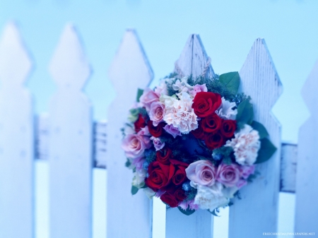 Christmas Wreath - on, fence, wreath, christmas