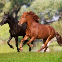 Running my friend, I'll go to you