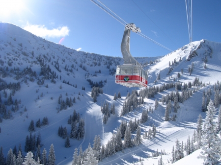 Snowbird Tram - trees, landscape, snow, shadows, sunshine, mountains