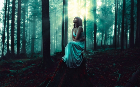 Forest Girl - forest, trees, woman, model