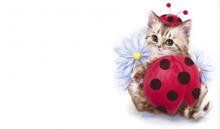 Ladybug kitten