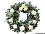 White-roses-christmas